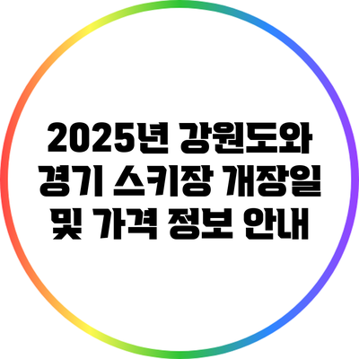 2025년 강원도와 경기 스키장 개장일 및 가격 정보 안내