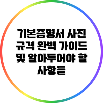 기본증명서 사진 규격: 완벽 가이드 및 알아두어야 할 사항들