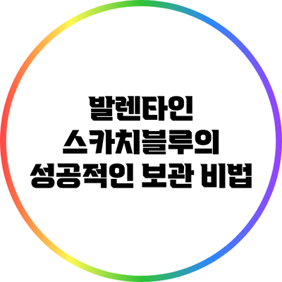 발렌타인 스카치블루의 성공적인 보관 비법