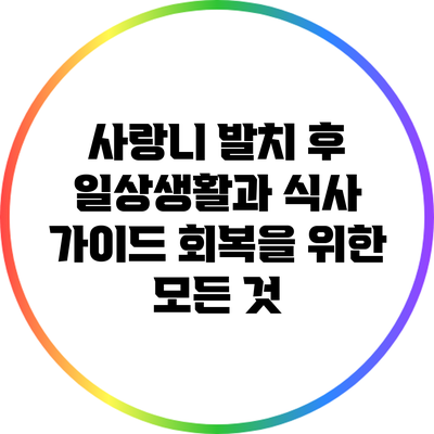 사랑니 발치 후 일상생활과 식사 가이드: 회복을 위한 모든 것