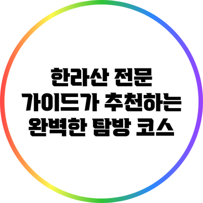 한라산 전문 가이드가 추천하는 완벽한 탐방 코스