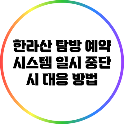 한라산 탐방 예약 시스템 일시 중단 시 대응 방법