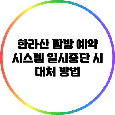 한라산 탐방 예약 시스템 일시중단 시 대처 방법