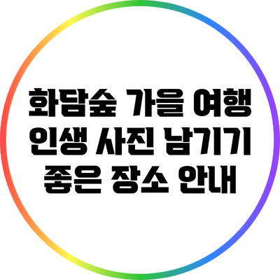 화담숲 가을 여행: 인생 사진 남기기 좋은 장소 안내