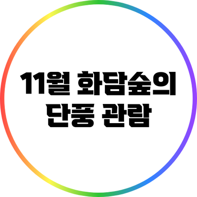 11월 화담숲의 단풍 관람