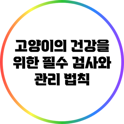 고양이의 건강을 위한 필수 검사와 관리 법칙