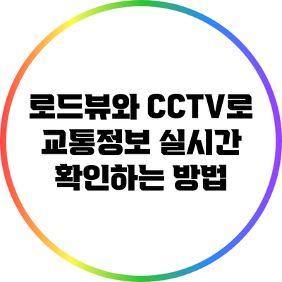 로드뷰와 CCTV로 교통정보 실시간 확인하는 방법