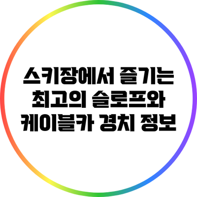 스키장에서 즐기는 최고의 슬로프와 케이블카 경치 정보