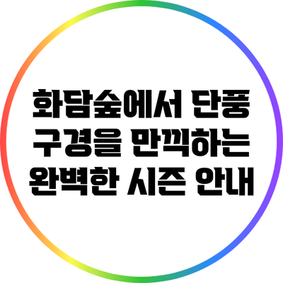 화담숲에서 단풍 구경을 만끽하는 완벽한 시즌 안내