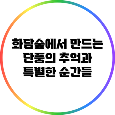 화담숲에서 만드는 단풍의 추억과 특별한 순간들