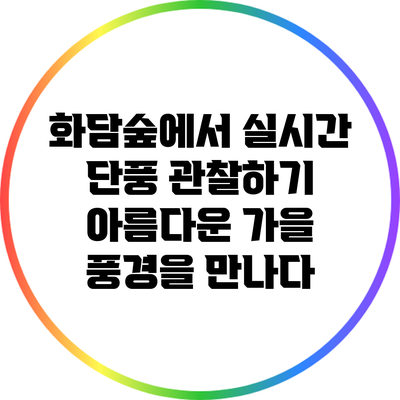 화담숲에서 실시간 단풍 관찰하기: 아름다운 가을 풍경을 만나다